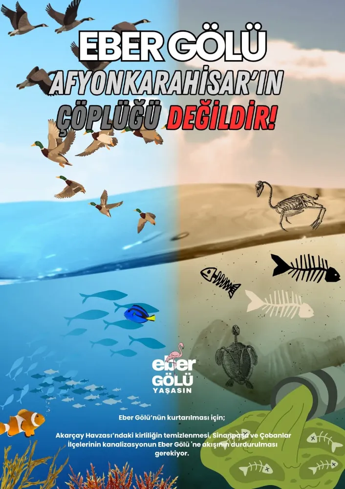 Bugün 5 Haziran #DünyaÇevreGünü.