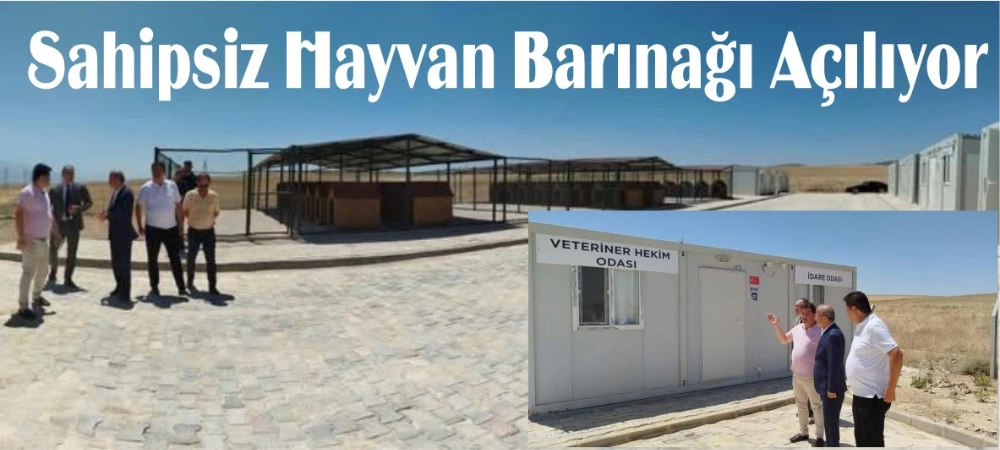 Sahipsiz Hayvan Barınağı Açılıyor